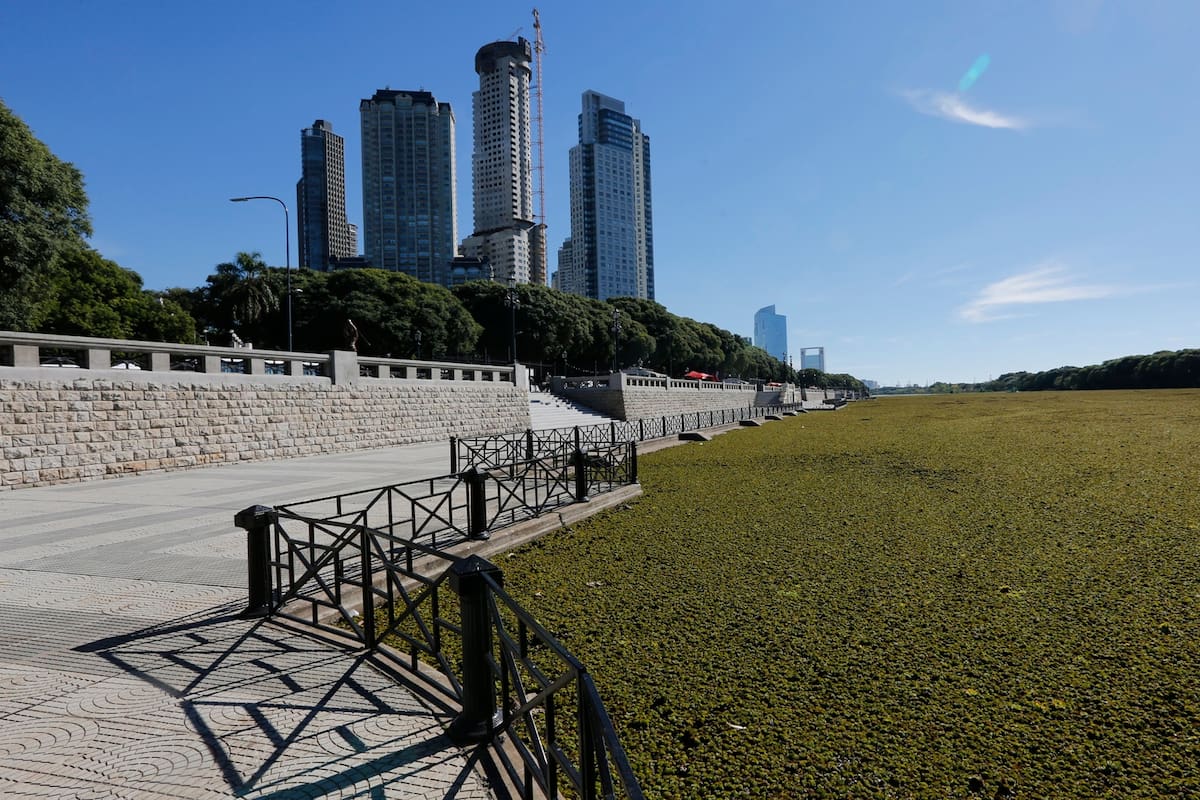 Buenos Aires estrena su primera playa natural con arena, está en la Reserva Ecológica Costanera Sur; se formó por acción del río luego de que se removieron escombros acumulados; reabre además remodelada la histórica rambla
