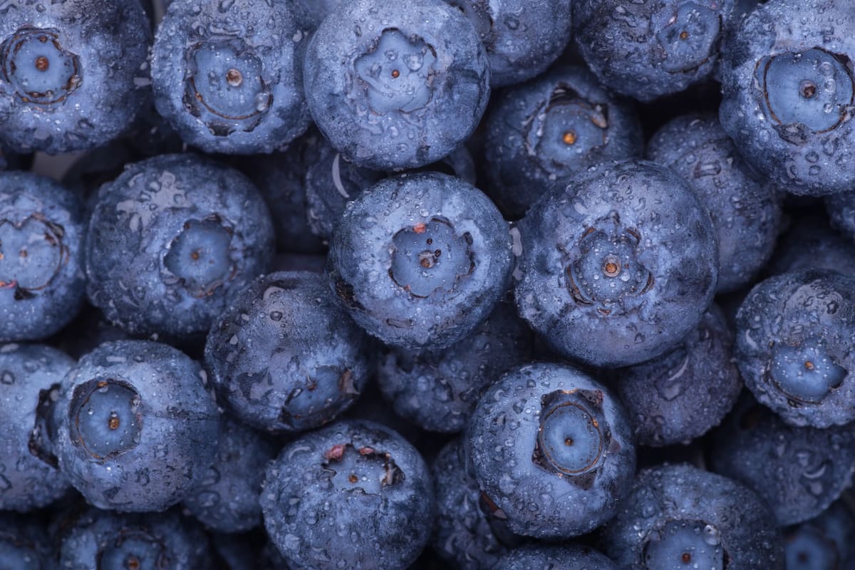 Buenos para los riñones