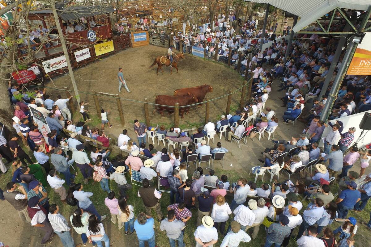 Buenos precios en los remates