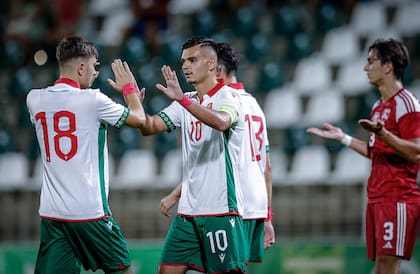 Bulgaria no ha conseguido puntos en la última ronda de las eliminatorias de UEFA (FB BulgarianNationalTeam)