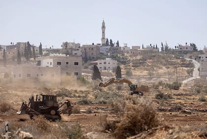Bulldozers operados por colonos y soldados israelíes arrancan olivos cerca de la aldea de Al-Mughayyir, en la Cisjordania ocupada, el 23 de agosto de 2025. (Avishay Mohar/Activestills)