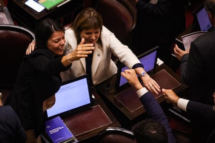 Bullrich celebra con senadores libertarios