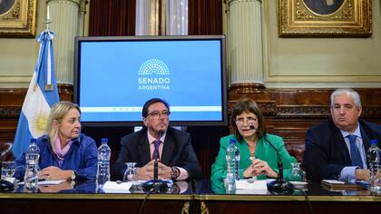 Bullrich defendió el límite a la libertad condicional