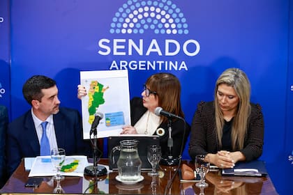 Bullrich, durante la conferencia de prensa en el Senado