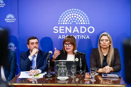 Bullrich junto a los senadores libertarios Agustín Coto y Nadia Márquez