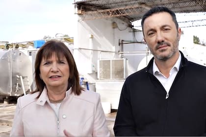 Bullrich y Petri en el nuevo spot de campaña