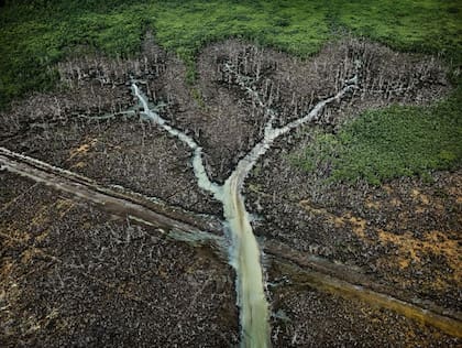 Búnker de petróleo #2, Delta del Níger, Nigeria, 2016