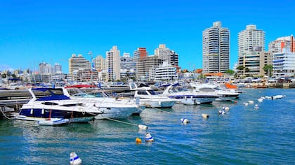 Punta del este