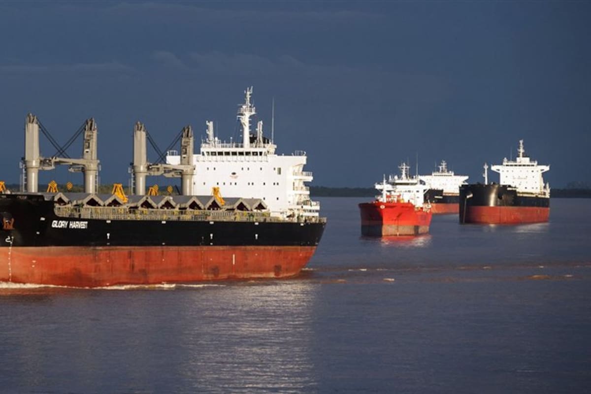 Buques varados en el río Paraná, frente a las terminales portuarias del Gran Rosario