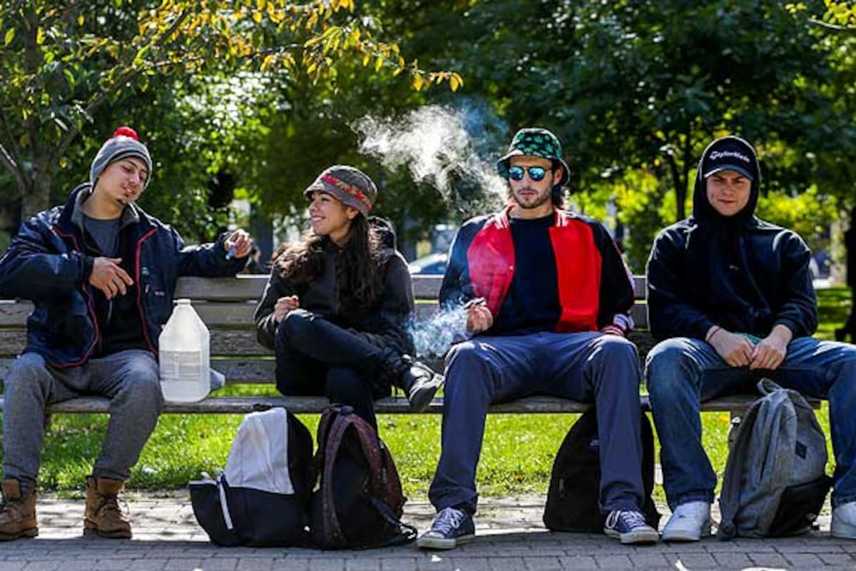 Burb Cannabis y Canadá dieron una paso inédito en el camino de la despenalización de la marihuana