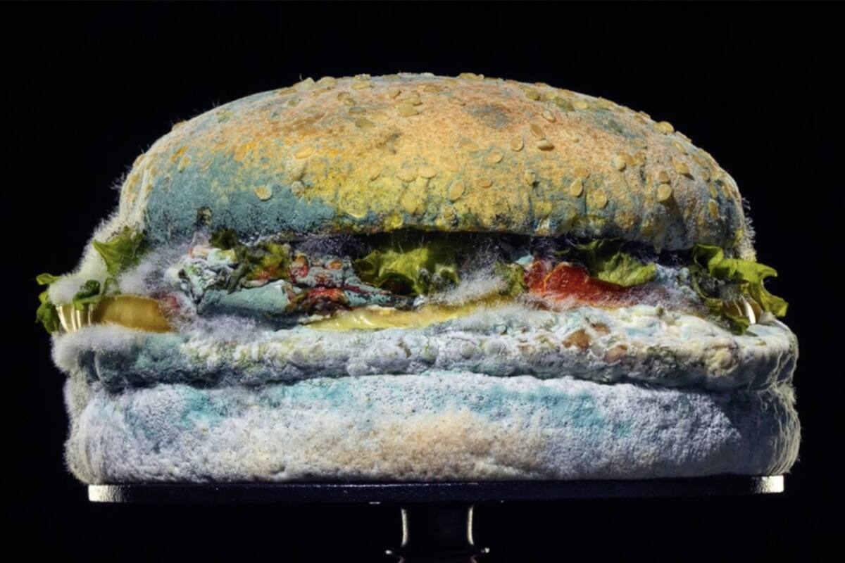 Burger King mostró un Whopper mohoso para su nueva campaña publicitaria