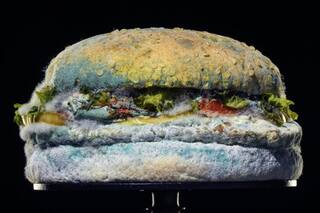 Hamburguesa mohosa: el insólito aviso que lanzó una cadena de comidas rápidas
