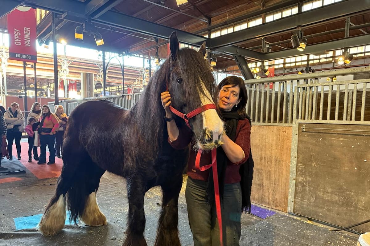 Burgos junto a su ejemplar, llamado Magical Bailey's, en la Exposición Rural de Palermo