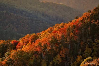 Burnsville es uno de los pueblos mágicos para realizar una escapada en otoño (Instagram/@travishuffstetlerphotography)