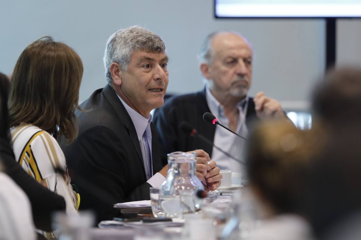 Buryaile, una de las voces de la UCR que expusieron en el plenario de comisiones