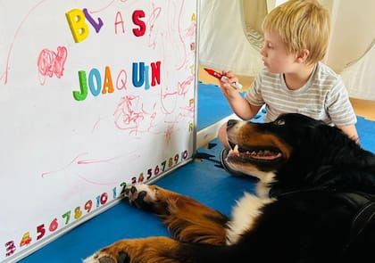 “Buscábamos que Joaco pudiera hacer todas las terapias que necesita para poder estar estimulado e ir superando cada desafío que se va presentando al crecer, de una manera placentera, agradable y divertida"