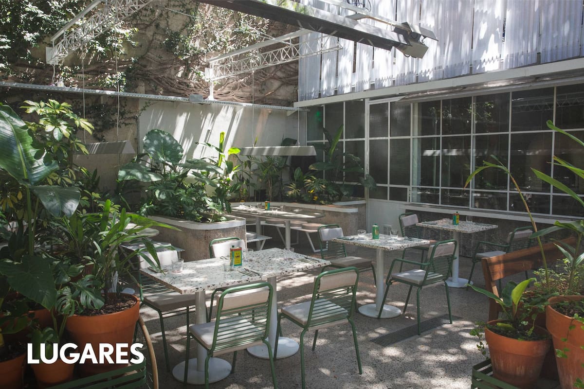 “Buscamos crear un oasis botánico emplazado en pleno caos urbano", cuentan los creadores de Aire Libre.