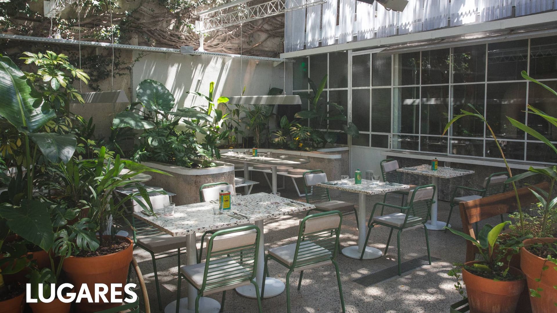 “Buscamos crear un oasis botánico emplazado en pleno caos urbano", cuentan los creadores de Aire Libre.