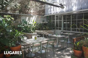 “Buscamos crear un oasis botánico emplazado en pleno caos urbano", cuentan los creadores de Aire Libre.