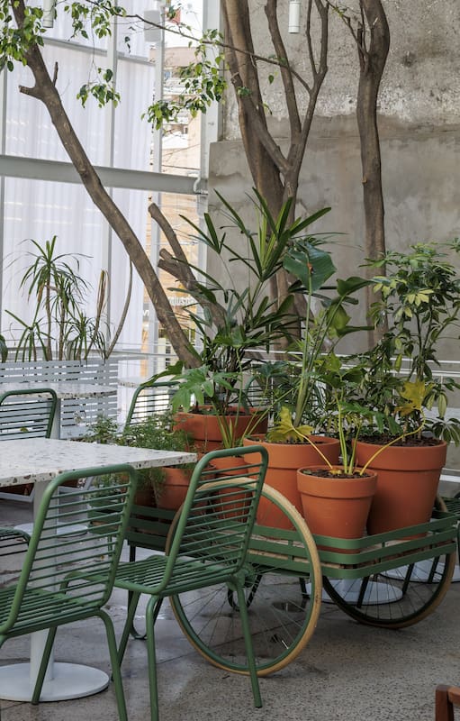 “Buscamos crear un oasis botánico emplazado en pleno caos urbano", cuentan los creadores de Aire Libre.