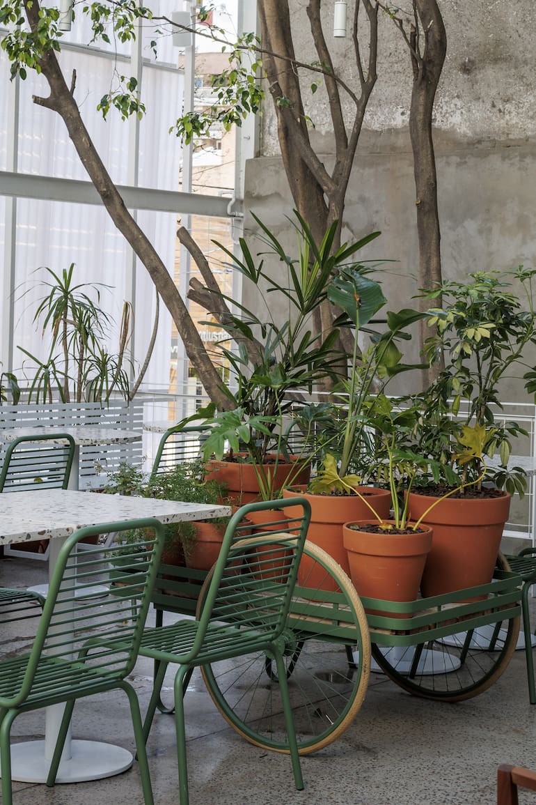 “Buscamos crear un oasis botánico emplazado en pleno caos urbano", cuentan los creadores de Aire Libre.