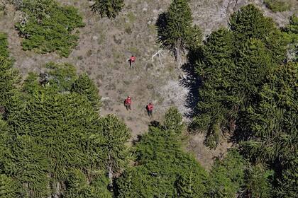 Buscan a un turista inglés en el Parque Nacional Lanín desde hoy a las 5.30