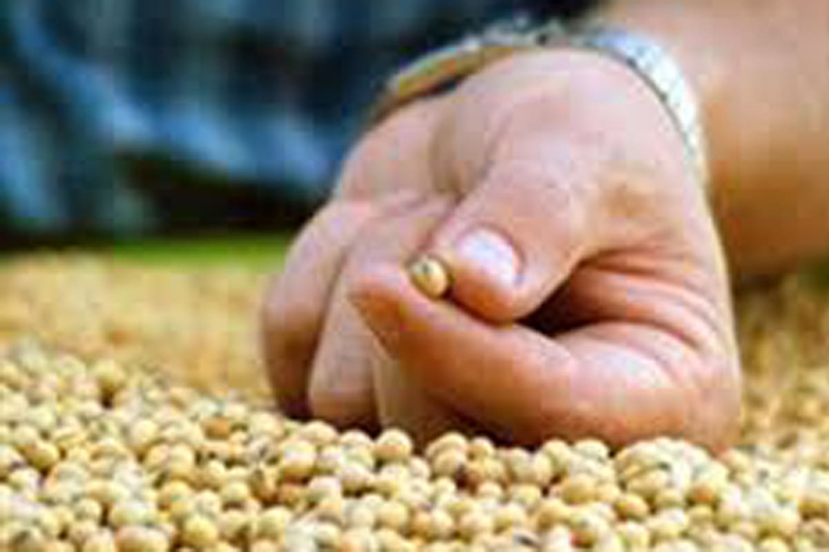 Buscan consensos por la propiedad intelectual