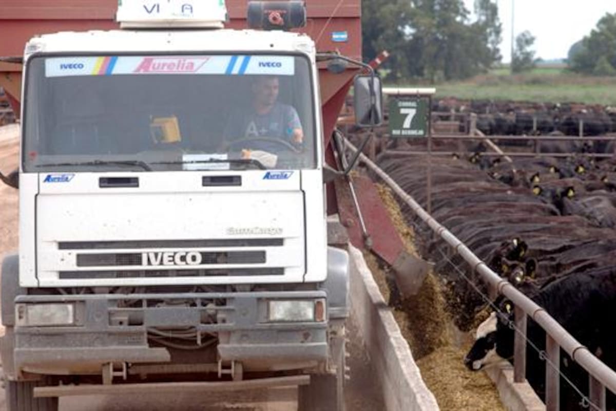 Buscan consolidar el negocio de la cuota para el fedlot