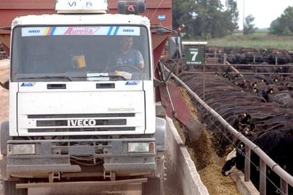 Buscan consolidar el negocio de la cuota para el fedlot