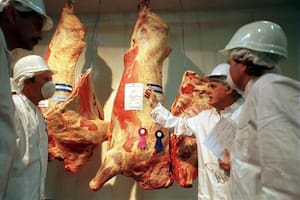 Hay más importaciones de carnes, pero también aumentan las exportaciones y se cumple una regla mundial