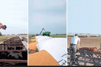 Santa Fe: con urgencia una mesa sectorial buscará abordar la preocupación por la inseguridad rural Santa Fe: con urgencia una mesa sectorial buscará abordar la preocupación por la inseguridad rural