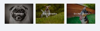 Buscando huellas