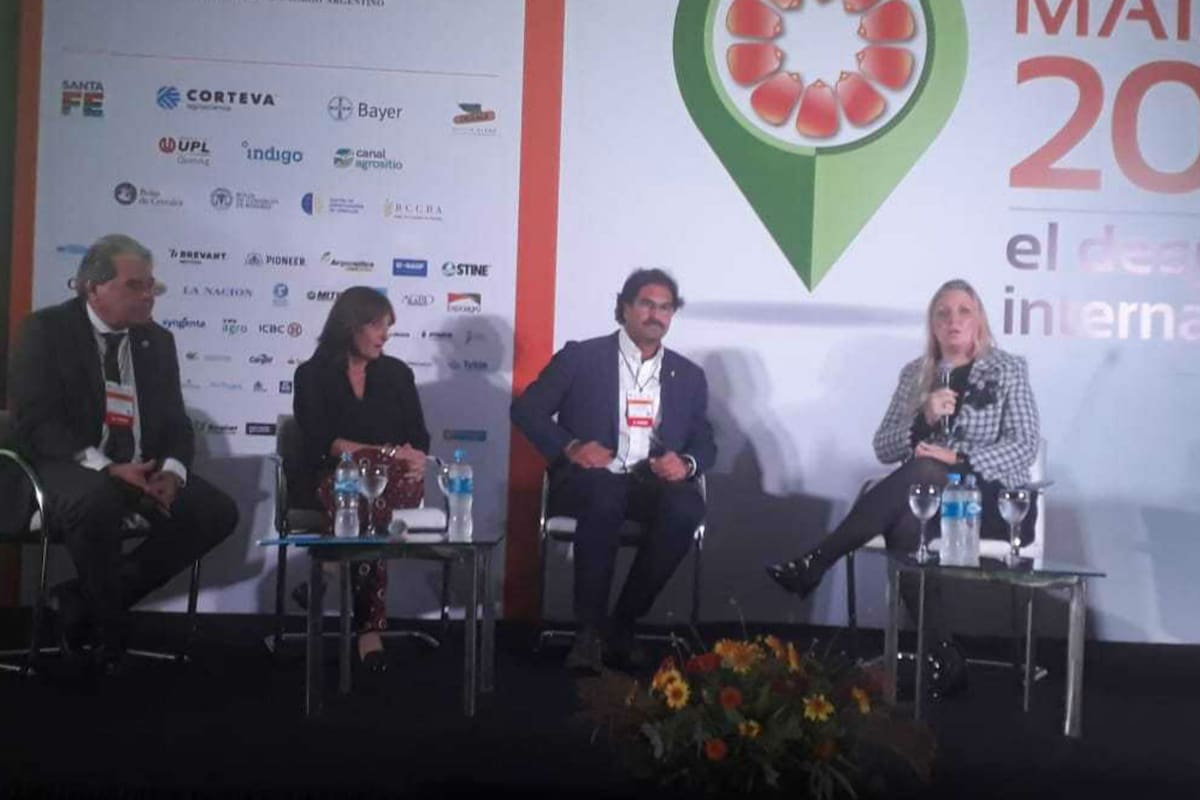 Busso, Ciciliani, Sarquís y Geese