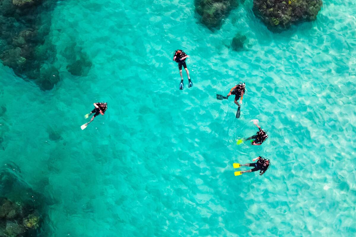 Buzos encontraron un paquete mientras exploraban el lado del océano Atlántico de Key Largo