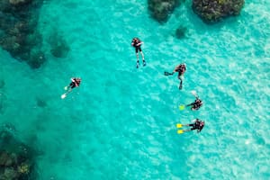 Buzos encontraron un paquete mientras exploraban el lado del océano Atlántico de Key Largo