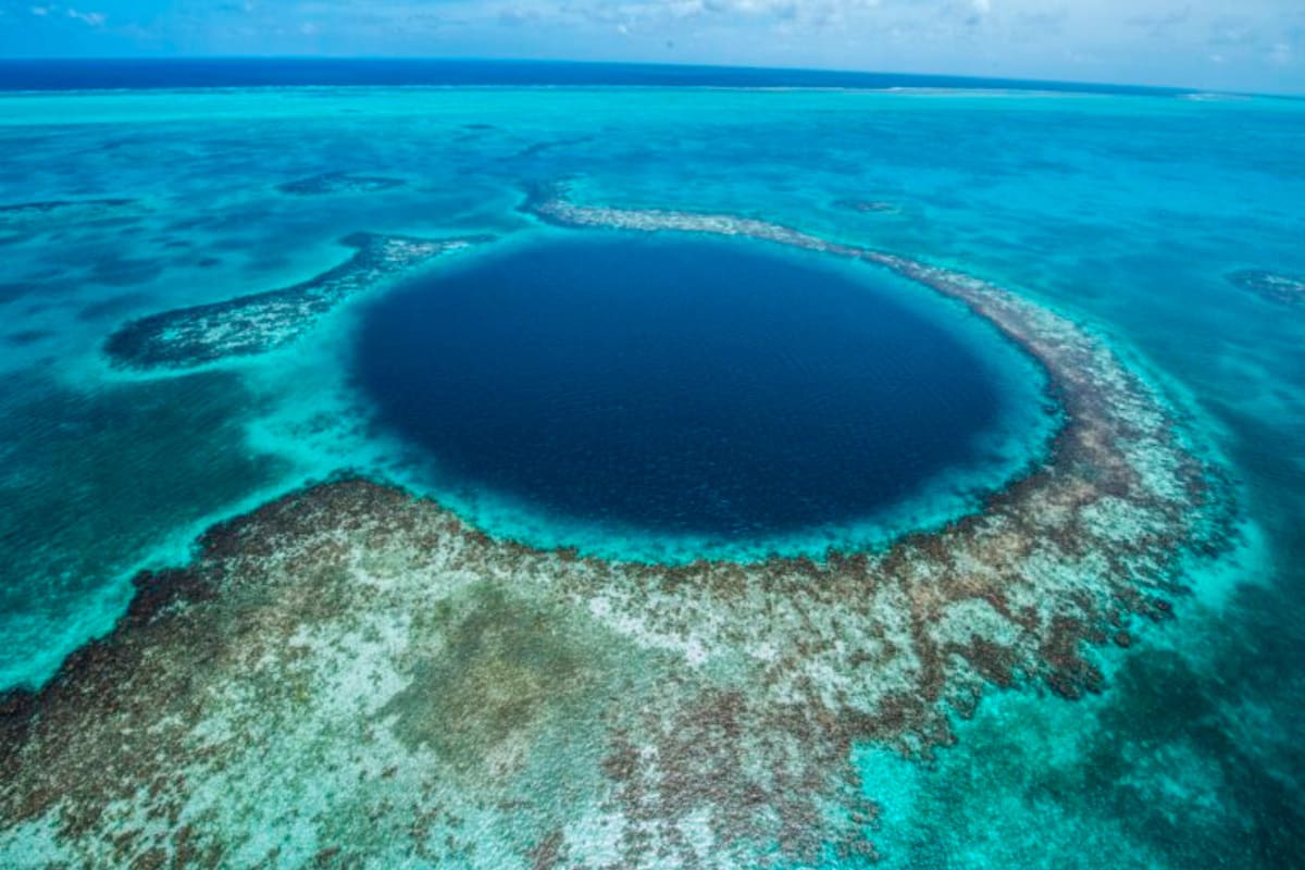 Buzos investigaron qué hay en el fondo del Gran Agujero Azul de Belice