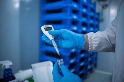 ByBug, con base en Coquimbo, Chile, y presencia en cinco países, lleva cuatro años desarrollando una plataforma de biomanufactura basada en insectos
