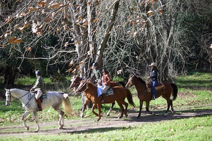 Cabalgata en Campo de Mayo