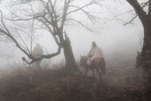 Cabalgata por Cabra Horco.