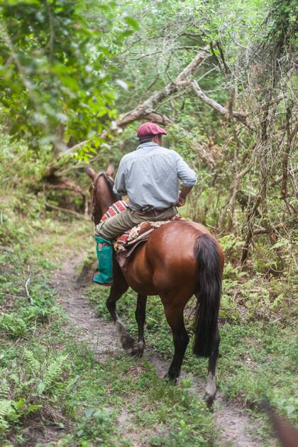 Cabalgata por el monte.