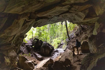 Cabalgatas, canopy, caminatas nocturnas, cavernas volcánicas, kayak, rafting, circuitos de mountain bike y tours astronómicos terminan de configurar las variadas propuestas de la reserva Huilo Huilo