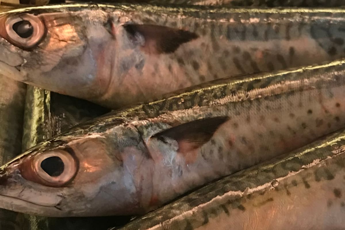 Caballa