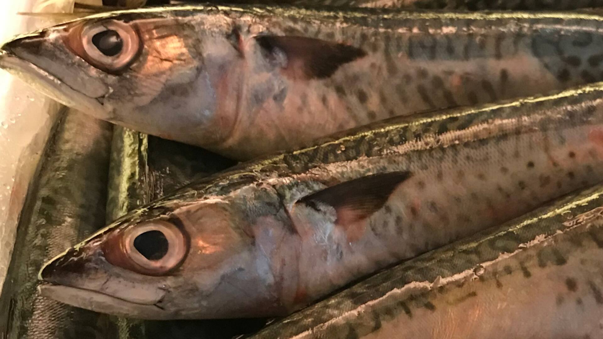 Caballa