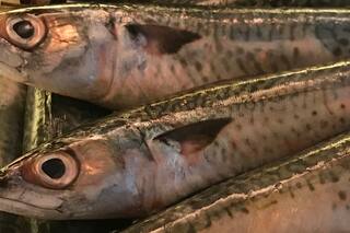 Pescados enteros: tres lugares que se animan a romper el tabú