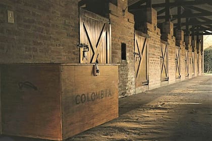 Caballerizas y baúl, el hábitat de Tomasito Fernández Llorente