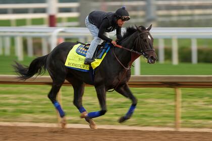 Caballo Rodríguez se retira del Derbi de Kentucky y Baeza lo sustituye