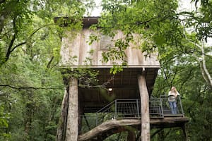 Cabaña arriba de los árboles en Cuña Pirú Lodge, una original propuesta en Aristóbulo del Valle.