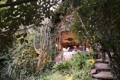 Cabaña del bosque. La casita de té oculta en el bosque Peralta Ramos que sorprende a los turistas