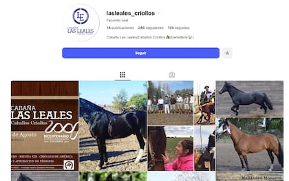 Cabaña Las Leales