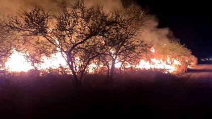 Cabandié y su equipo obtuvieron malos resultados en dos objetivos relacionados con el control del fuego en los primeros nueve meses del año pasado, mientras que cumplieron con uno, pero por debajo de los niveles que registraba su antecesor Sergio Bergman.